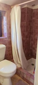 a bathroom with a toilet and a shower at Gite lefevre a callian in Callian +15 photos