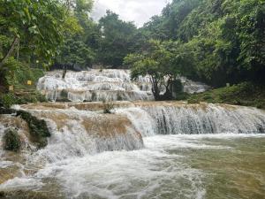 Afbeelding uit fotogalerij van Khu du lịch Đại Lâm in Thạch Thành +20 foto's