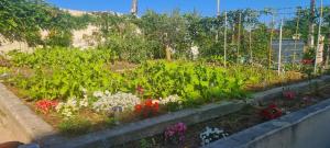Zahrada ubytování T2-Cozy appartement près de Bordeaux + 8 fotografií