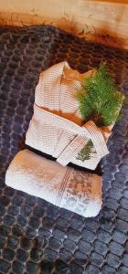 Zdjęcie z galerii obiektu Góralska Chata & Spa w Muszynie