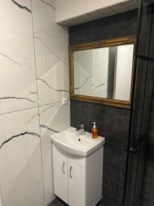 a bathroom with a sink and a mirror at EksPorta Apartments 6 in Rīga