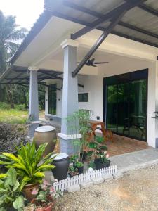 a front porch of a house with plants at Homestay Senggarang in Senggarang