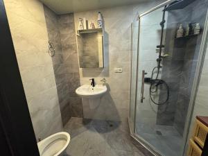 a bathroom with a shower and a toilet and a sink at Elles apartment in K'obulet'i