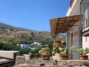 a group of cacti in pots on the side of a building at Casa Pomelia - in centro a Malfa in Malfa