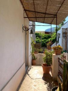 an outdoor patio with potted plants and a roof at Casa Pomelia - in centro a Malfa in Malfa