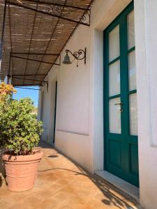 a green door on a building with a potted plant at Casa Pomelia - in centro a Malfa in Malfa +22 photos