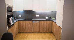 Kuchyň nebo kuchyňský kout v ubytování Modern Danube Apartment Vienna