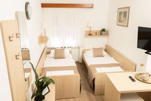 TV a/nebo společenská místnost v ubytování Guesthouse Špenko