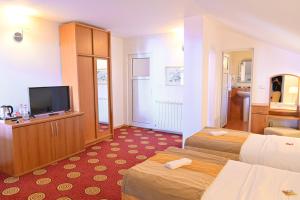 TV a/nebo společenská místnost v ubytování Pirin rooms
