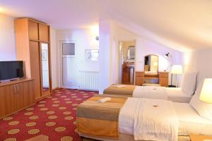 TV a/nebo společenská místnost v ubytování Pirin rooms