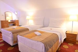 Postel nebo postele na pokoji v ubytování Pirin rooms