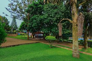 a park with a tree with a bench and a tent at Shine Country Resort Hotel in Naziba +19 photos