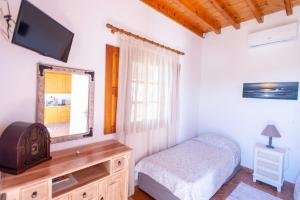 1 dormitorio con cama, espejo y TV en Villa Meloi patmos, en Patmos