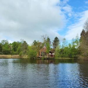 a house sitting on the shore of a lake at Cabane atypique sur une Île in Sury-aux-Bois +63 photos
