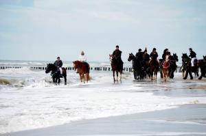 a group of people riding horses on the beach at Studio Bluuven in Scharendijke