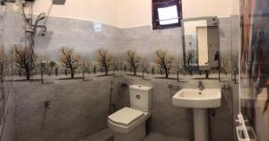 ミリッサにあるVilla Del Sol Mirissaのトイレと洗面台付きのバスルーム +20枚の写真