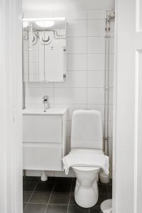 a white bathroom with a toilet and a sink at Magle Lilla Kyrkogata in Lund