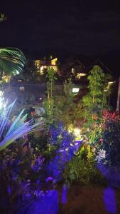 Ein Garten an der Unterkunft Ella Zenith View