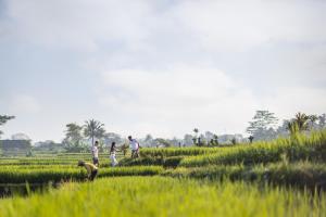 Příroda nedaleko rezortu