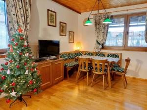 TV a/nebo společenská místnost v ubytování FeWo BRUNNACH by Isa Badkleinkirchheim