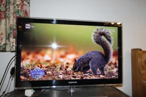TV a/nebo společenská místnost v ubytování FeWo BRUNNACH by Isa Badkleinkirchheim