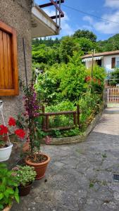 Φωτογραφία από το άλμπουμ του La casa delle rose σε Sassetta