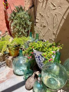 Zahrada ubytování Casa Rural Ubeda - B&B - Pinoso-Alicante