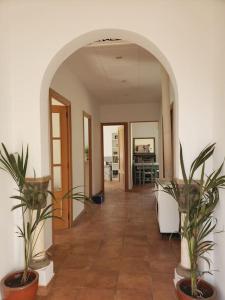 Un pasillo con dos plantas en macetas y un arco. en Esplendida casa en Valldoreix, en Sant Cugat del Vallès 68 fotos más