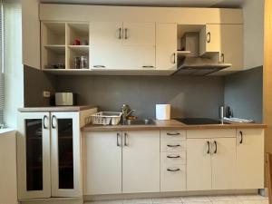 Una cocina con gabinetes blancos y un fregadero. en Central Elegance Apartment, en Timisoara