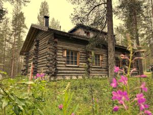 an old log cabin in the woods with flowers at Lapland Cabin Levi in Kittilä