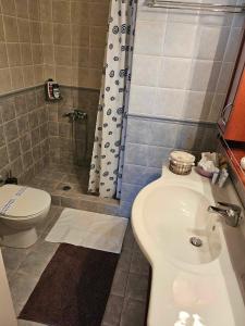 a bathroom with a toilet and a shower and a sink at Alexandra's Dreamhouse! in Finikounta +11 photos
