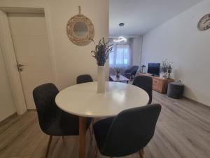 Fotografie z fotogalerie ubytování Apartman Centar v destinaci Vukovar