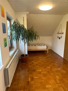 a room with a potted plant in the middle of it at Green Breeze - Private Hot Tub Retreat in Žalec