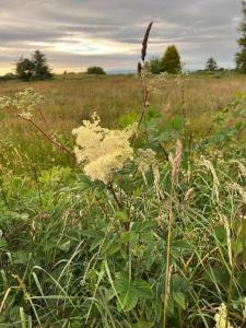Loodusmaastik puhkemaja lähedal