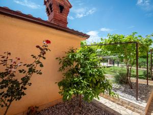 Zahrada ubytování Holiday Home Aleksandra by Interhome
