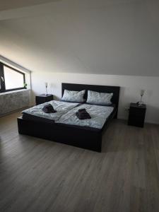 a bedroom with a large bed with two night stands at Villa Levilia in Strullendorf