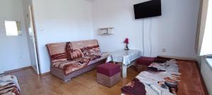 a living room with a couch and a table at Pokoje Gościnne Elżbieta Chylińska in Krynica Morska +30 photos