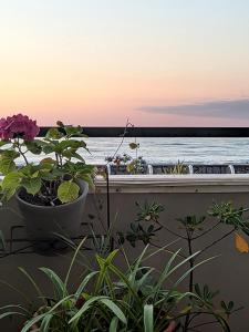 Afbeelding uit fotogalerij van brise marine plage Hendaye in Hendaye +9 foto's