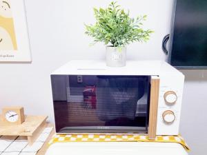 a microwave with a plant on top of it at The Stay 132 in Uijeongbu