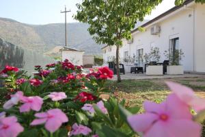 Nespecifikovaný výhled na hory nebo výhled na hory při pohledu z bed and breakfast