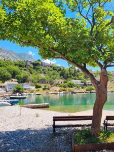 Foto dalla galleria di Rosemary Resort a Cesarica