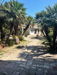 a house with palm trees in front of it at Appartamento in Villa con Terrazzo e Vista Golfo in Massa Lubrense