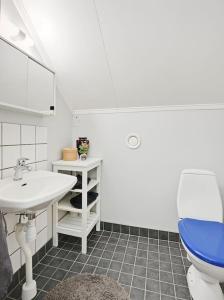 a bathroom with a white sink and a toilet at Villa with hot tub and sauna in Umeå +17 photos