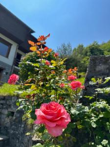 Gallery image of Villa D'ALBA guest house in Civenna