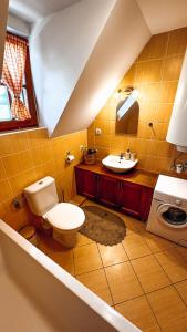 a bathroom with a toilet and a sink at Drevenička Amálka in Liptovský Trnovec +65 photos