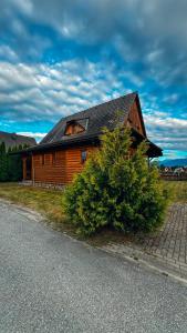 a wooden house with a bush in front of it at Drevenička Amálka in Liptovský Trnovec