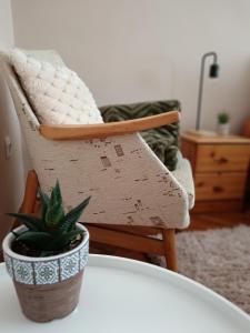 Tulipán Apartman 5600 Békéscsaba, Tulipán utca 2/A. I.em. 4. kép - 2