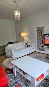 耶姆赛Himoksen naapuri, A3的带床和电视的客厅