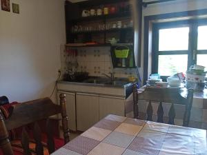 Kuchyň nebo kuchyňský kout v ubytování Apartman Marković