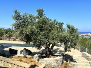 a tree in a stone planter with a couch under it at Modone Villas in Peloponnese in Methoni